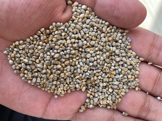 Bajra Flour