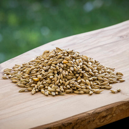 Barley Flour (Trial Pack)