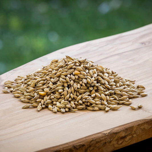 Barley Flour (Trial Pack)